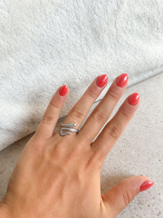 Ring slang