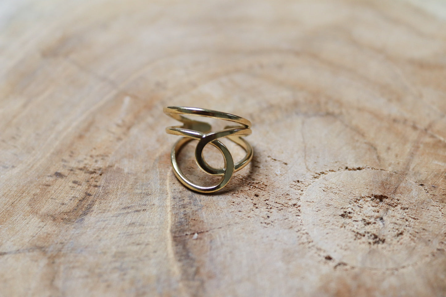 Ring ilea